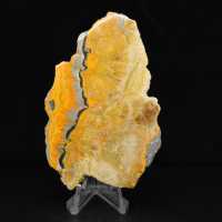 Bumblebee Jasper
