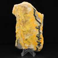 Bumblebee Jasper