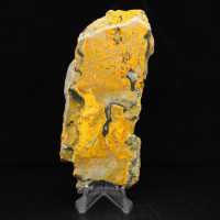 Bumblebee Jasper