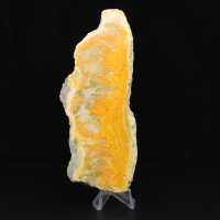 Polished slice of Indonesian Bumblebee Jasper