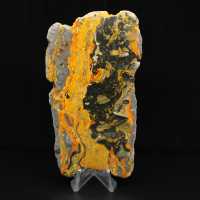 Polished Bumblebee Jasper Elongated Slice