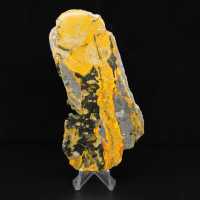 Indonesian Bumblebee Jasper: Sulphurous gypsum plate