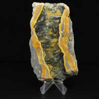 Thick slice of polished Bumblebee Jasper