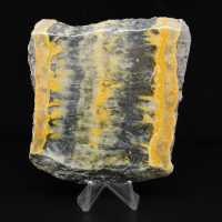Indonesian Bumblebee Jasper: large aesthetic slab