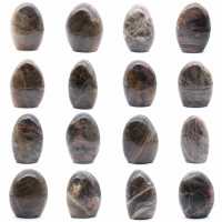 Polished Freeform Black Moonstone
