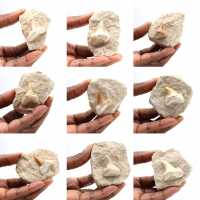 Fossil tooth of Otodus from Morocco Fossil tooth of Otodus from Morocco