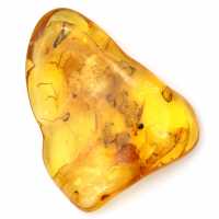 Large Yellow Amber Pebble from Lithuania – Fossil for Collection