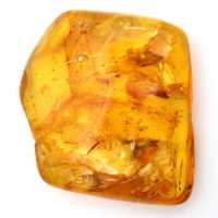 Yellow Baltic Amber Stone – Pebble for Collection