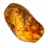 Yellow Amber Pebble for Decoration and Scientific Specimen