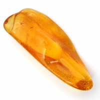 Genuine Baltic Amber – Mineralogy Pebble