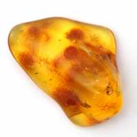 Yellow Amber Pebble, Mineral Object Lithuania – Decorative Specimen