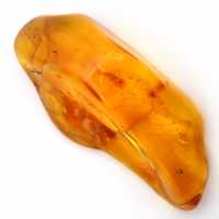 Yellow Amber Object Lithuania – Natural and Authentic Pebble