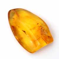Yellow Amber Pebble – Baltic Specimen, Authentic Item