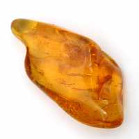 Yellow amber pebble from Lithuania for fossil collection