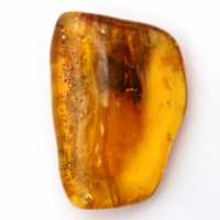 Baltic Amber – Mineralogy Pebble Item