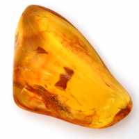 Yellow Baltic Amber – Polished Pebble, Decorative Object