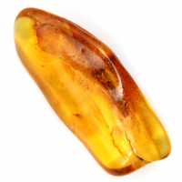 Polished Yellow Amber Pebble – Collector’s Specimen Lithuania