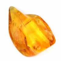 Small Yellow Amber Pebble – Collectible Fossil Resin