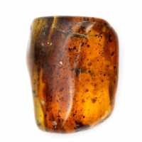 Natural Polished Baltic Amber Pebble - Decorative Piece