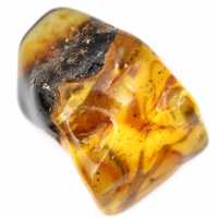 Authentic Polished Amber Pebble from Lithuania - Mineralogy Specimen