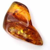 Polished Baltic Amber: Collector's Pebble Specimen