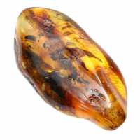 Lithuanian Amber: Natural Pebble for Mineralogical Specimen