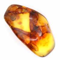 Polished Baltic Amber Specimen - Aesthetics and Decoration