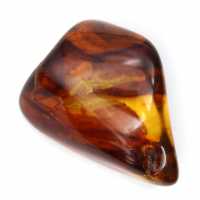 Natural Polished Amber Pebble - Fossil Specimen from Lithuania