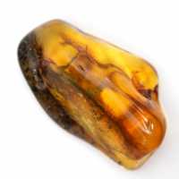 Lithuanian Amber: Aesthetically Polished Pebble for Collections