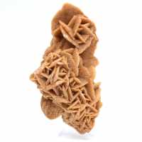 Natural decorative sand rose Tunisia