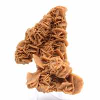 Unique specimen of sand rose