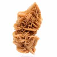 Decorative specimen of sand rose
