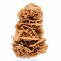 Decorative natural sand rose