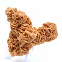 Original crystallized sand rose