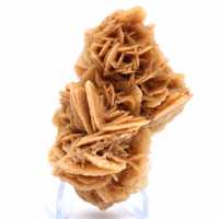 Natural sand rose from Tunisia