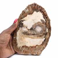 Polished fossil wood slice, character ornament, Madagascar Polished fossil wood slice, character ornament, Madagascar