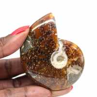 Polished Ammonite Fossil - Natural Decorative Object (70g) Polished Ammonite Fossil - Natural Decorative Object (70g)