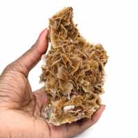 Moroccan barite coin with brown crystals