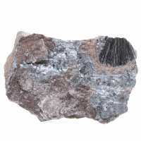 Pyrolusite, Authentic Specimen on Matrix