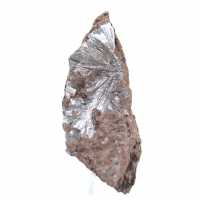 Raw Pyrolusite Crystals, Long Specimen