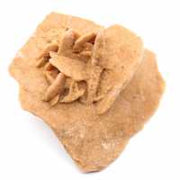 Small Desert Rose of Morocco: natural geological fragment