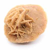 Moroccan desert rose: authentic crystalline structure