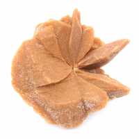 Large desert rose crystal: specimen from Morocco