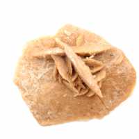 Mineral rosette of Morocco: gypsum crystallization Mineral rosette of Morocco: gypsum crystallization