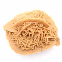 Specimen of Moroccan Desert Rose: dense crystallization Specimen of Moroccan Desert Rose: dense crystallization