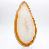 Specimen of polished sedimentary agate