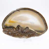 Collectible item: Polished agate