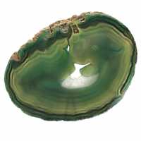 Natural green agate slice – Decorative piece 250 g
