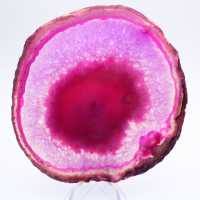 Slice of dyed pink agate for collection