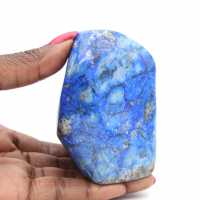 Polished Sawn Ammonite Fossil – Natural Brilliance from Madagascar Polished Sawn Ammonite Fossil – Natural Brilliance from Madagascar